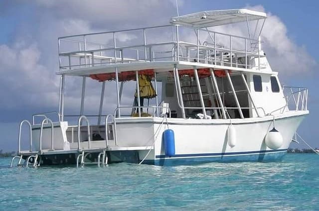 Explore Cayman Islands with Swimming Activities