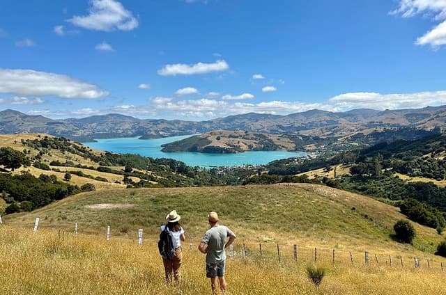 Private Akaroa Day Trip and Nature Cruise from Christchurch