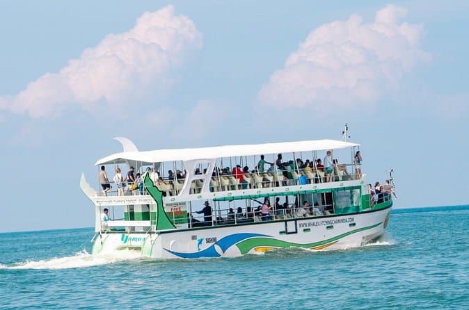 Compare Top Mirissa Whale Watching Tours