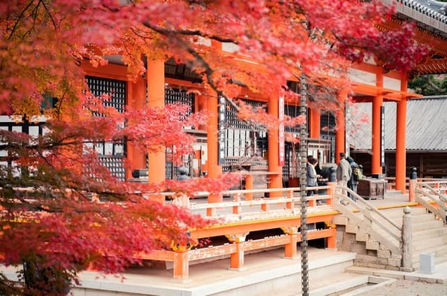 Osaka Full Day Walking Tour with Local Expert Guide
