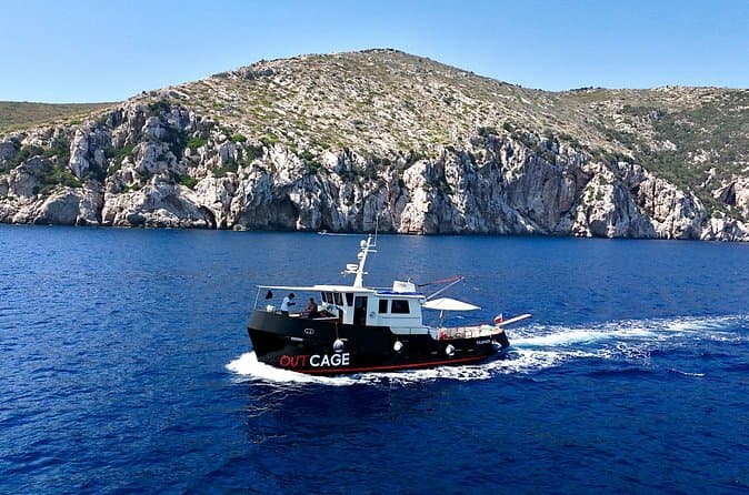 Compare Top Gulf of Angels Boat Tours