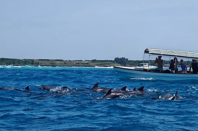 Zanzibar Mnemba Island Snorkeling and Dolphin Watching Adventure