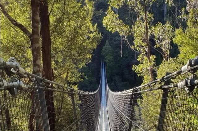 From Hobart Huon Valley AirWalk and Hastings Cave