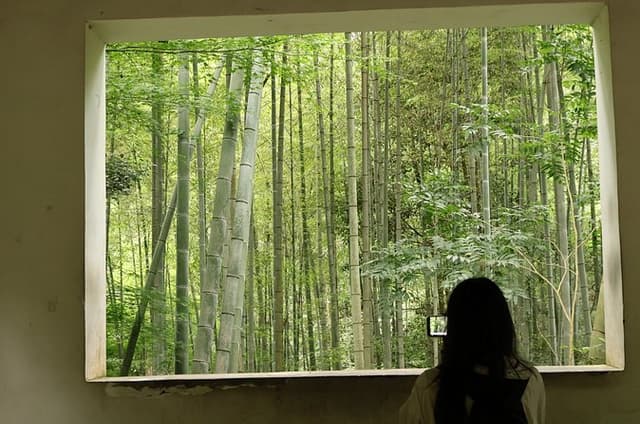 Hangzhou Half Day Tour in Pagoda Bamboo Grove and Old Street