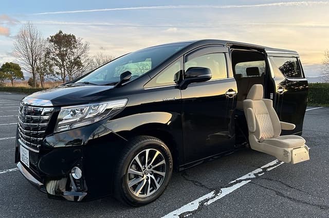 1 Day Kyoto Tour with a Driver English and Wheelchair Available