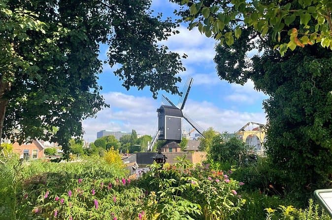 Best Guided Walking Tours in Leiden