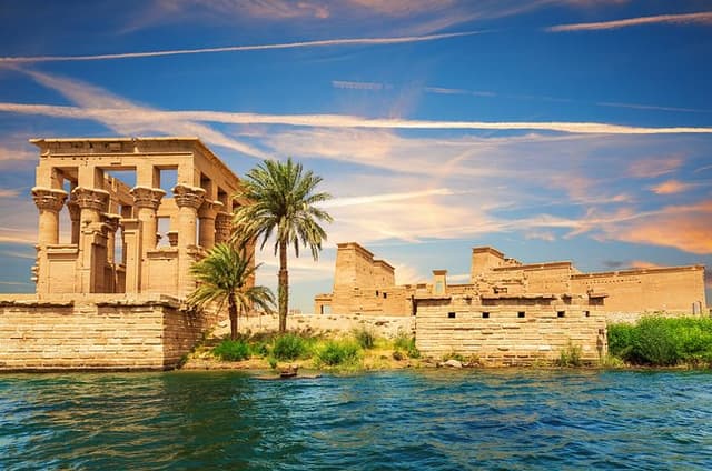 Nile Birdwatching Experience – Private Shore Tour from Aswan Port