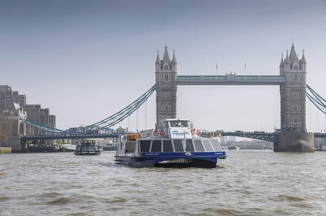 Thames River Sightseeing Cruise in London