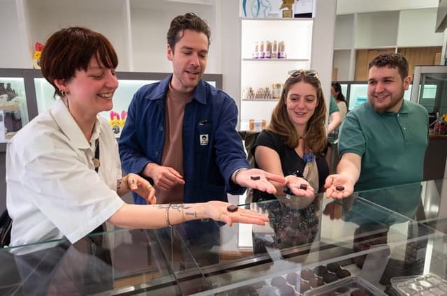 Bordeaux Golden Triangle Food Tour with Wine & Gourmet Tastings