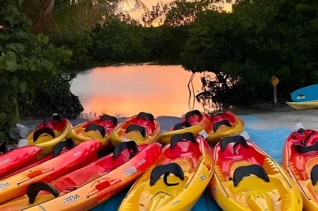 Full Moon Kayak Experience at Oleta River State Park
