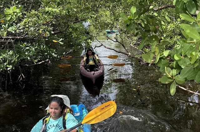Guided Eco Tour at Oleta River State Park