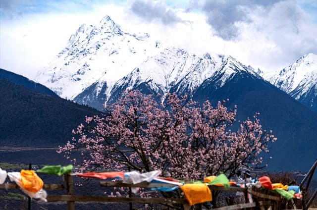 (Season limited) First Flying Linz 2027 Peach Festival Deep Tour 11 Days
