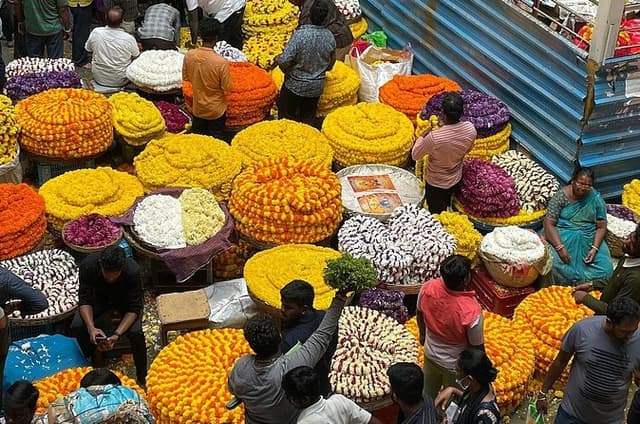 Ultimate Bangalore Full Day Private Tour Palaces Temples & Market