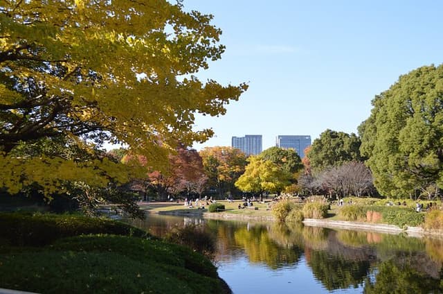Tokyo Imperial Park Autumn Leaves Stroll
