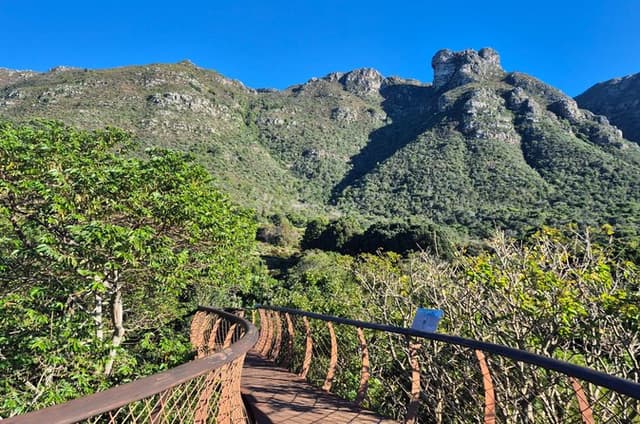 The Ultimate Kirstenbosch Gardens Walking Experience