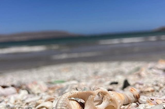 Arica Beaches & Sea Caves Tour