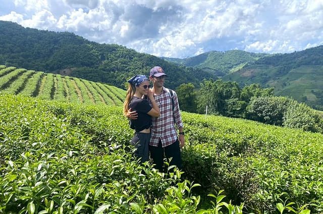 Chiang Rai Private Mountain Tour Doi Mae Salong and Doi Tung