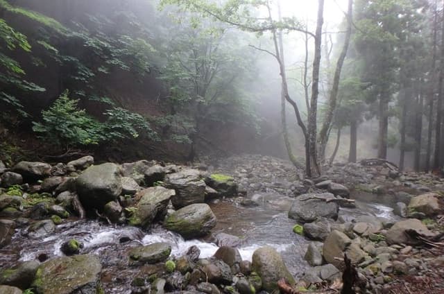 Clear stream trekking in Tottori