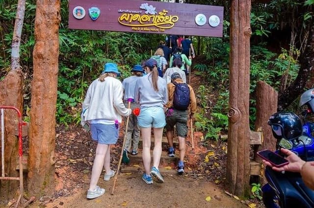 Doi Inthanon and Pha Dok Siew Trek Full Day Tour from Chiang Mai