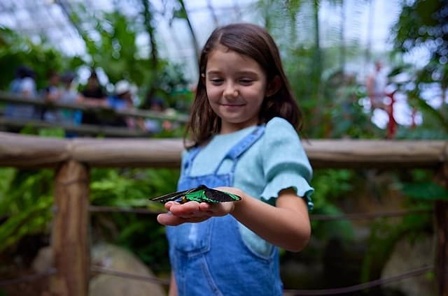 Kuranda Deluxe with Scenic Railway and Butterfly Sanctuary