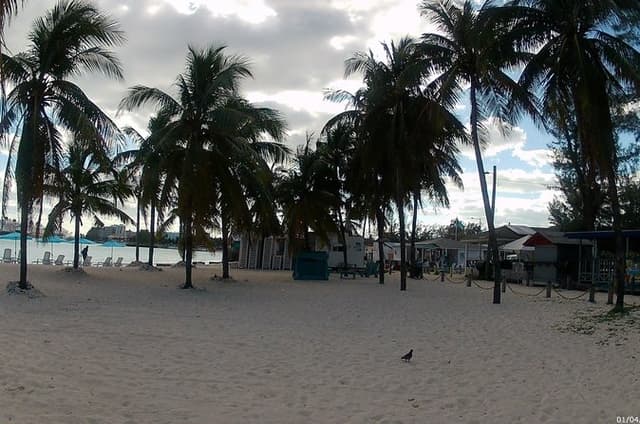 Nassau City Highlights with Cave and Rum Tastings