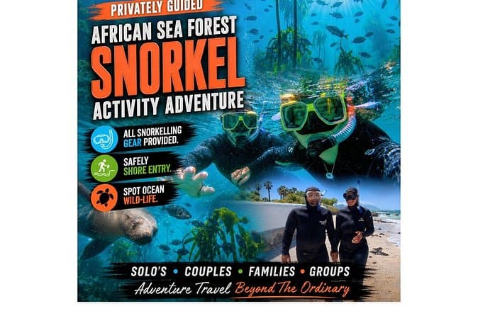 Top-Rated Snorkeling Tours in Cape Town
