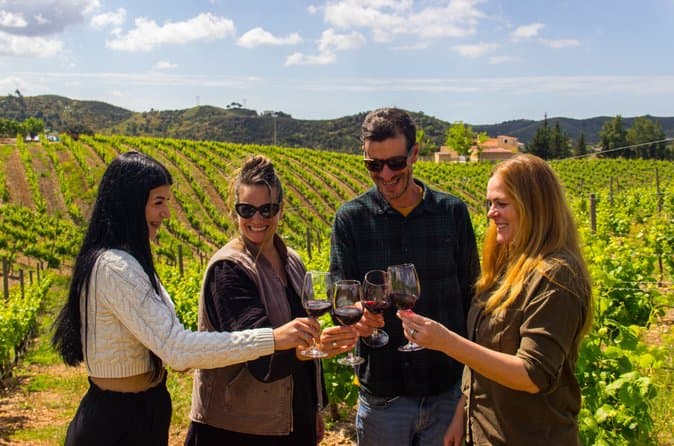 Compare Top Algarve Wine Tours in Albufeira