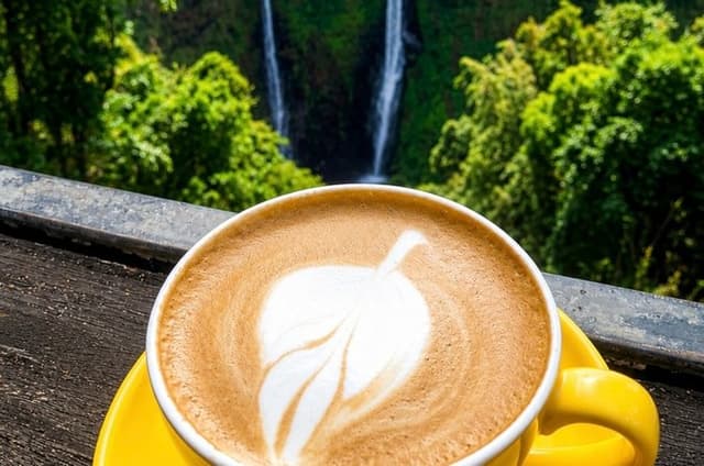 Pakse Bolaven Plateau Coffee and Waterfalls