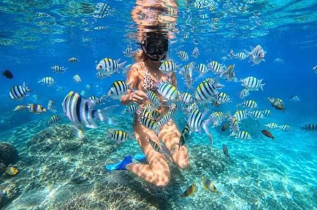 Bali: Blue Lagoon and Tanjung Jepun Snorkeling Tour with Transfer