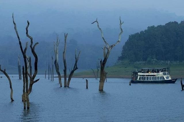 Thekkady Jeep safari and National Park Tour with Tea Tasting