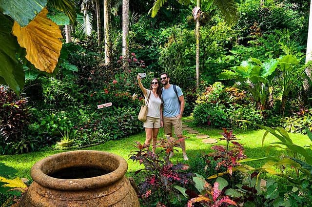 Taste of Barbados Full-Day Sightseeing tour