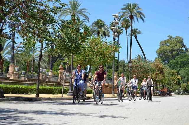 3-hour Guided Bike Tour along the Highlights of Seville