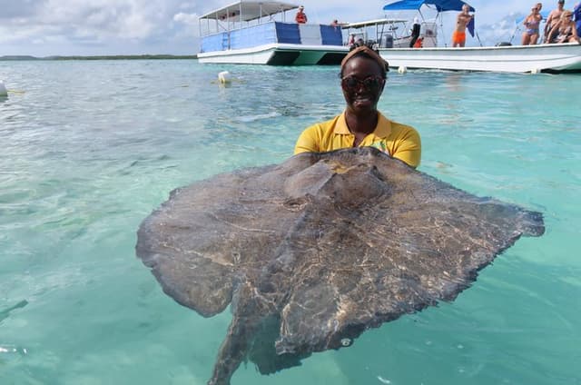Stingray Snorkel and Scenic Tour with Exquisite Tours Antigua