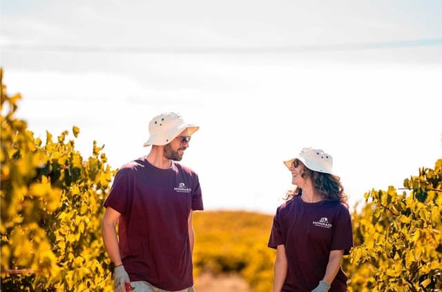 Vindimas and Talha Wine