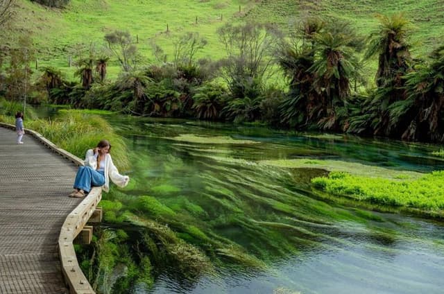 From Hamilton Waitomo Glowworms Blue Springs and Kiwi House