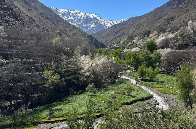 Marrakech: Atlas Mountains, Imlil Valley & Waterfalls Tour