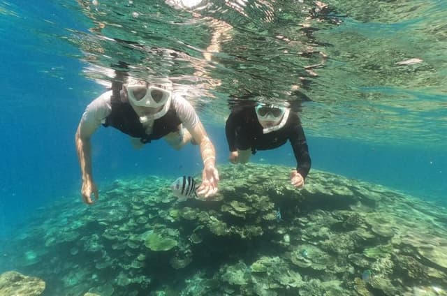 Okinawa: Boat Snorkeling 2 Rounds at Minna, Sesoko or Motobu