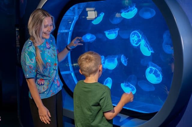 SEA LIFE Kelly Tarlton's General Admission