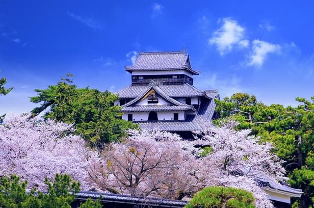 6 Hour Taxi Tour from Port to Matsue Castle and Yokai Street