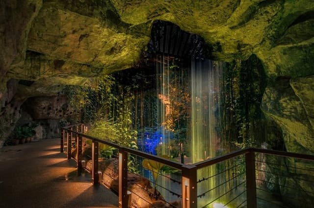 Entopia by Night Entrance Ticket