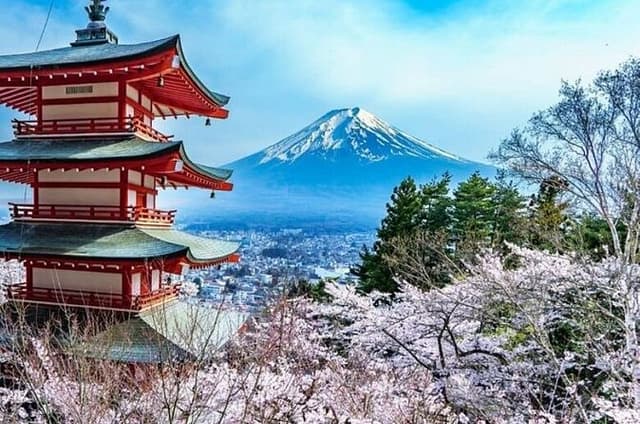 Mt. Fuji and Hakone Private Tour with Luxury Vehicle