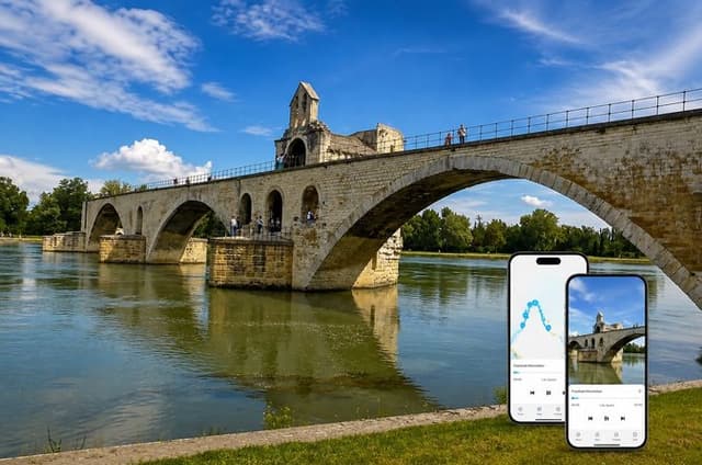 Avignon Self Guided City Tour of Popes, Poets and Assassins