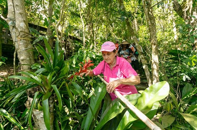 Nature and Sightseeing at Phantasea Tropical Botanical Garden