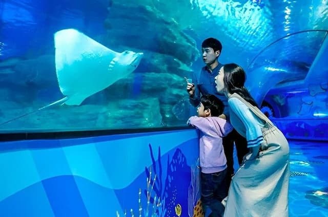 Busan SEA LIFE Aquarium Admission Ticket