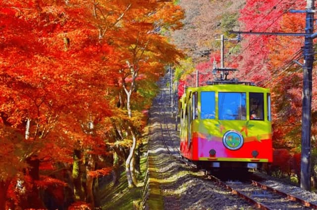 From Tokyo Private Full Day Tour to Mt Takao and Kawagoe