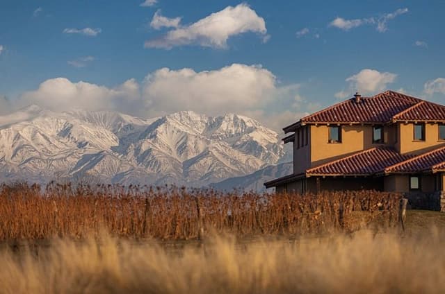 Mendoza : Discover the city and visit 2 Wineries with Tasting