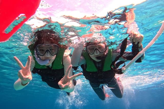 Bohol Balicasag Snorkeling and Virgin Island Hopping with Lunch