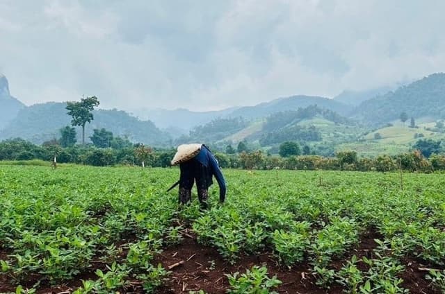 Chiang Dao Full Day Cave Mountain Views