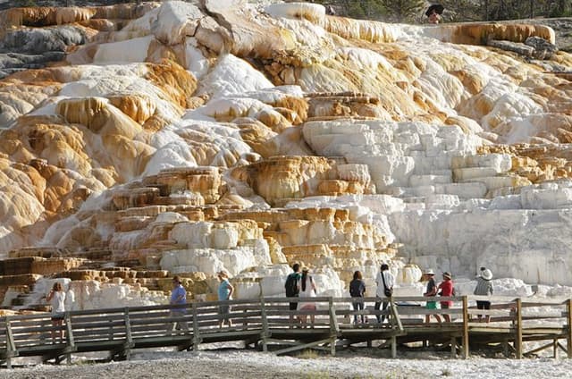 Private Yellowstone Upper Loop Experience and complimentary lunch