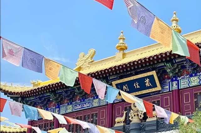 Independent Amazing Xi'an City Highlights Private Day Tour